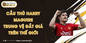 Cầu Thủ Harry Maguire - Trung Vệ Đắt Giá Trên Thế Giới
