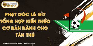 Phạt Góc Là Gì? Tổng Hợp Kiến Thức Cơ Bản Dành Cho Tân Thủ