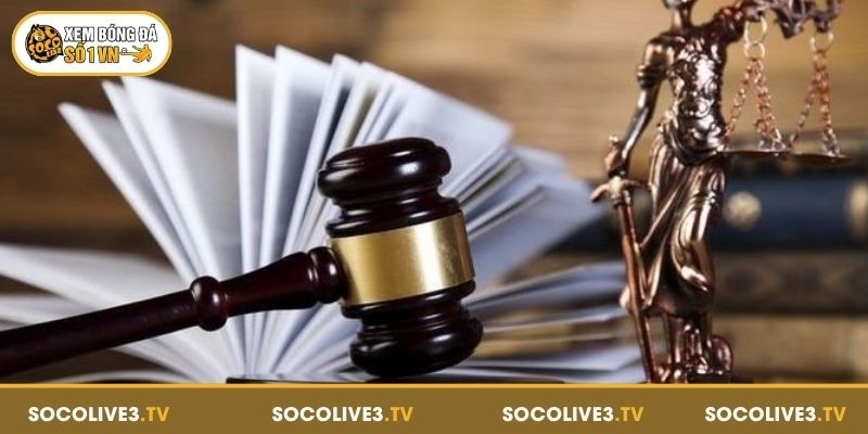 Tổng quan về bản quyền Socolive